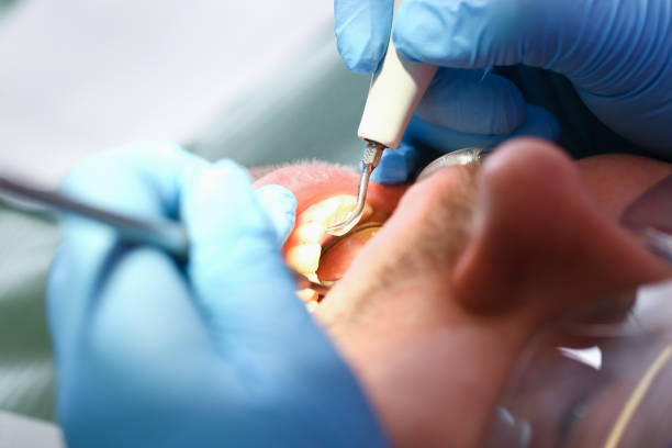 Best Pediatric Emergency Dentist in Mount Ayr, IA